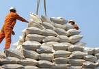 Vietnam should improve rice quality in long-term strategy