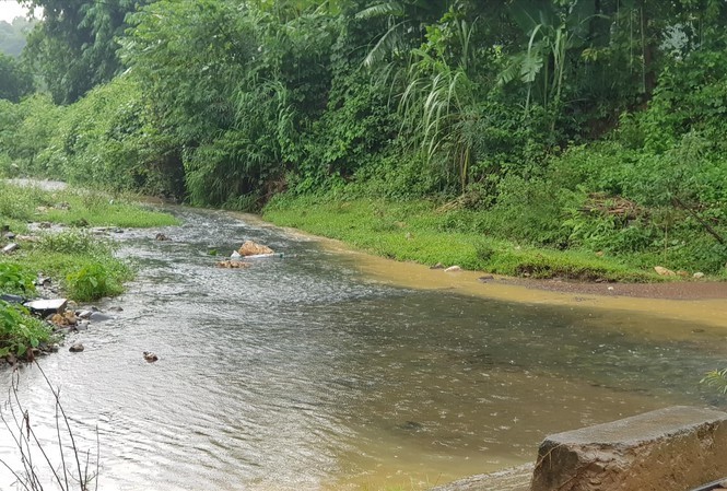 Truy nguồn gốc 2,5 tấn dầu đổ trộm gây ô nhiễm nguồn nước sạch sông Đà