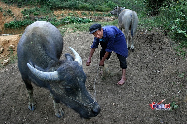 Kết quả Hàn Quốc 3