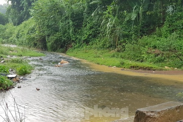 Hanoi authorities investigate oil discharging truck