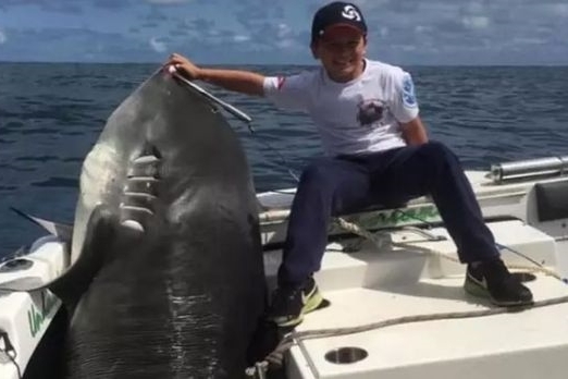 Cậu bé 8 tuổi câu được cá mập ‘khủng’ nặng hơn ba tạ