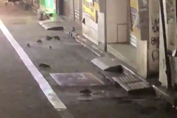 Xem chuột 'tung hoành' ở khu phố Nhật sau siêu bão