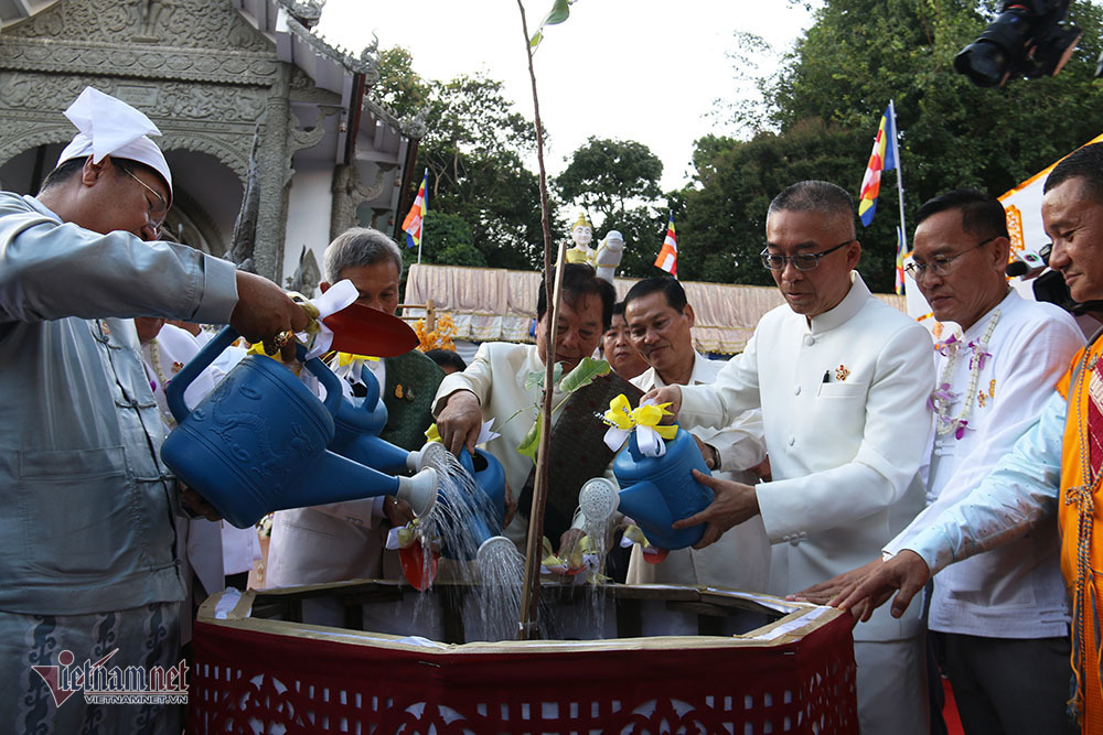 Tôi dâng hiến và buồn tủi