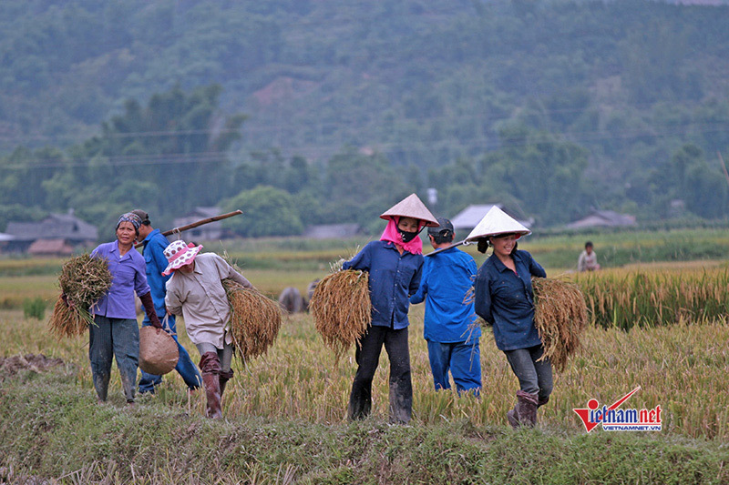 Hội Nông dân Việt Nam tích cực đẩy mạnh công cuộc xây dựng nông thôn mới