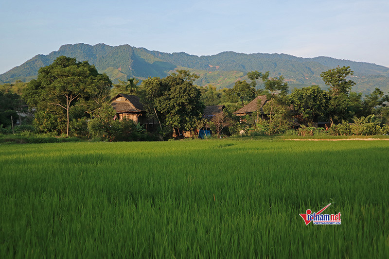 Phát triển sản xuất, nâng cao thu nhập là trọng xây dựng nông thôn mới tại Hậu Lộc