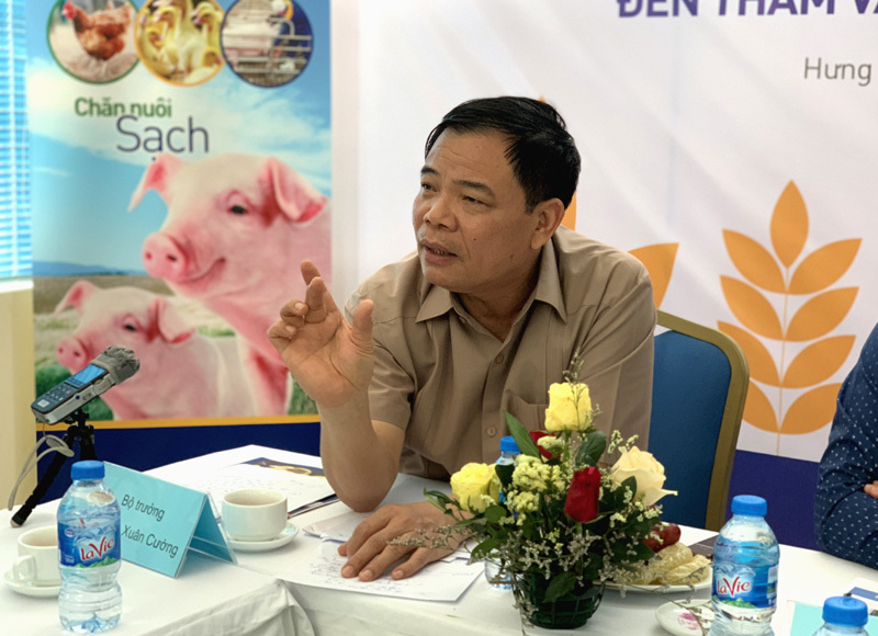 Mơ ước của nông dân, bây giờ muốn nuôi lợn to như con trâu