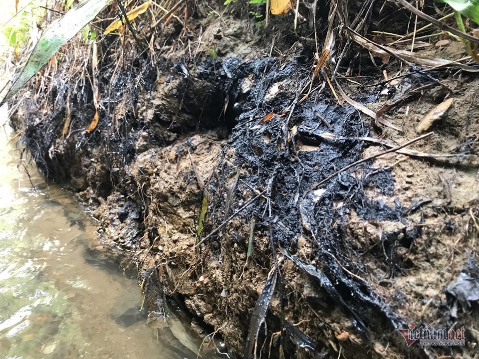 Khởi tố hình sự vụ nước sông Đà nhiễm dầu thải