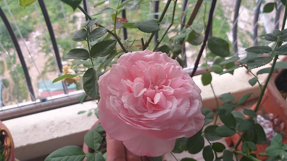 Ngày 20/10, chẳng cần hoa và quà, chỉ cần yêu bản thân là đủ