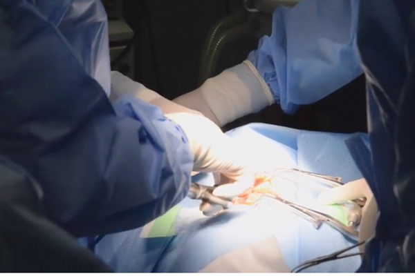 Bé 3 tuổi nhỏ nhất Việt Nam mắc ung thư tuyến giáp di căn