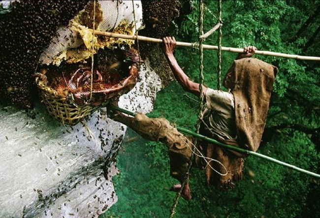 Liều mạng lấy thứ bán 4 triệu/kg, sẩy chân là 'tan xương nát thịt'
