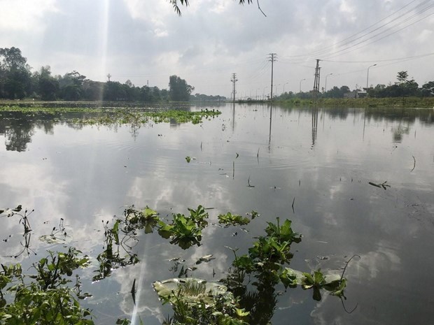 Flooding causes four deaths, heavy losses in central region