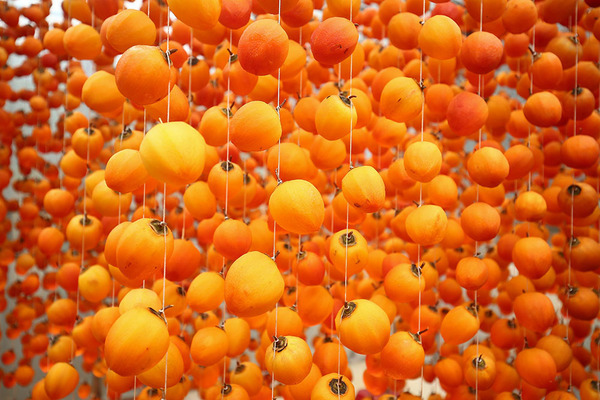 The making of dried persimmons in Da Lat