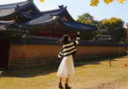 6 lý do để ít nhất một lần đón mùa thu ở Hàn Quốc