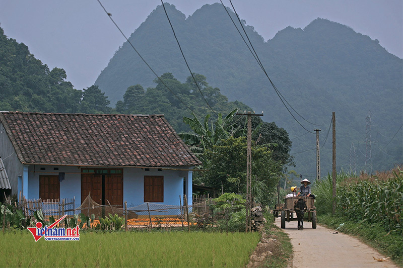 Giúp người nghèo sinh kế, họ sẽ tự có khả năng làm nhà ở