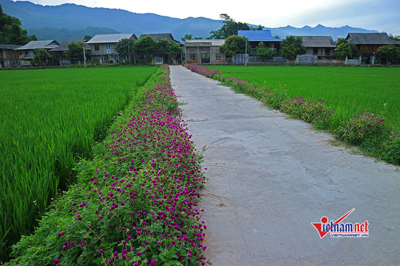 Nông dân góp 150.000 tỷ đồng xây dựng Nông thôn mới