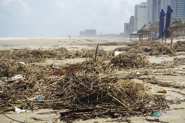 Danang beaches suffer waste following torrential rains