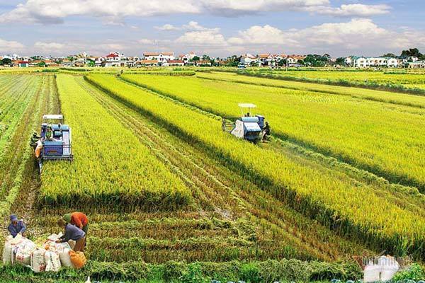 Giảm nghèo bền vững nhờ tích cực xây dựng nông thôn mới