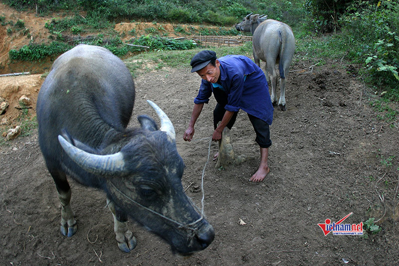 Hàng nghìn lao động nông thôn ở Tuyên Quang được đào tạo nghề trong năm 2019