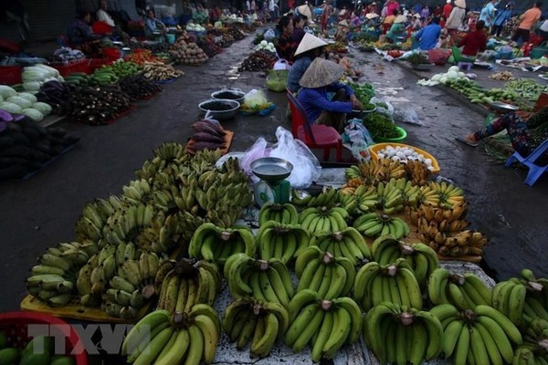 Diverse products in Hau Giang during flood season