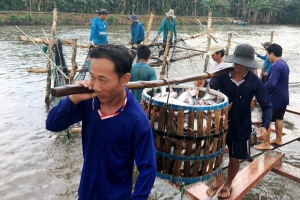 US remains Vietnam’s largest aquatic export market