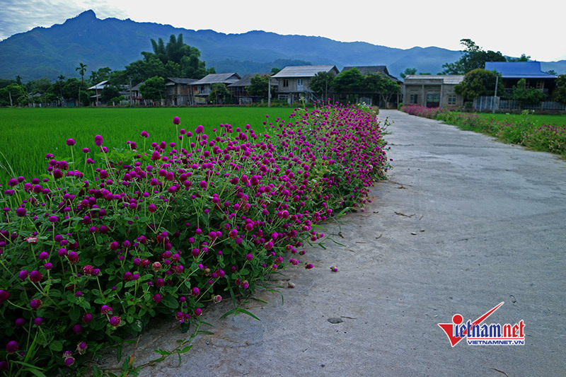 Bộ trưởng Nguyễn Xuân Cường: Xây dựng NTM vượt nhiều mục tiêu