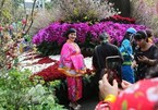 5th Hanoi cherry blossom festival to be held next March
