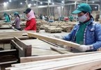 Vietnamese woodworking firms increase investment in technology, machinery