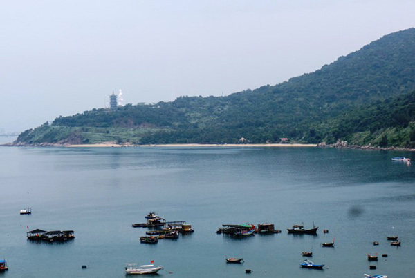 Da Nang authorities at fault for several violations on Son Tra Peninsula