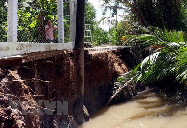 VN Environment Ministry to survey Mekong Delta’s subsidence