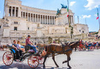 Kiến nghị cấm xe du lịch ở Rome sau khi ngựa ngã gục trên đường phố