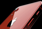 iPhone SE 2 giá rẻ sẽ có ăng-ten tiên tiến, bán ra cuối Q1/2020