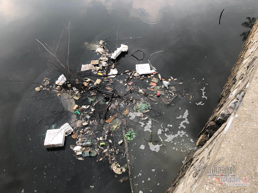 Cá chết kín hồ điều hoà ở Quảng Ninh, dọn cá không dọn rác