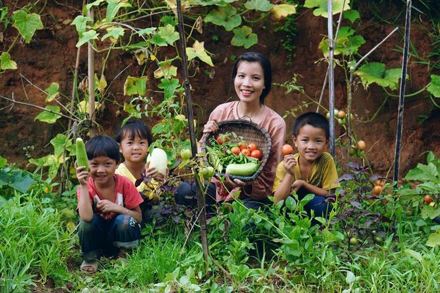 Cuộc sống bình yên, không cần đến tiền của cô gái Đắk Lắk 'bỏ phố về rừng'