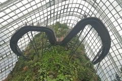 Du khách mê mẩn với 'khu vườn trên mây' ở Singapore