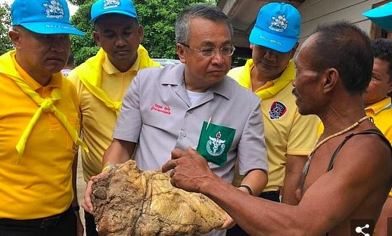 Bãi nôn quý hiếm, giá gần chục tỷ đồng
