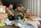 4 cặp ngà voi trong thùng xe container của tài xế Đà Nẵng