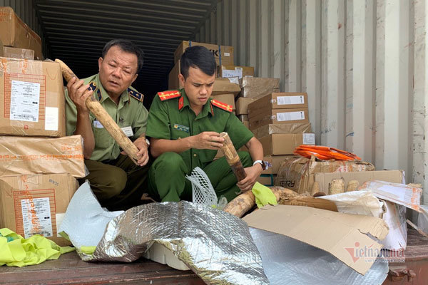 4 cặp ngà voi trong thùng xe container của tài xế Đà Nẵng