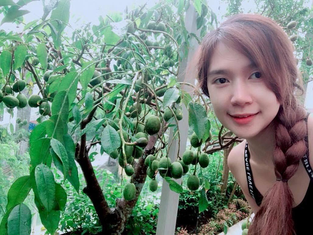 Trái ngọt sai trĩu trên sân thượng biệt thự nhà Lý Hải - Minh Hà