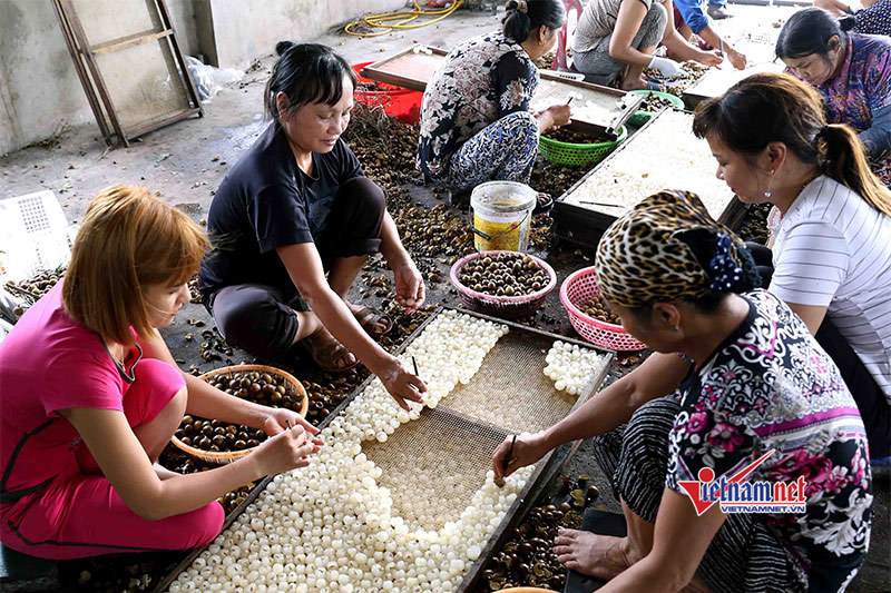 Cần đào tạo sâu hơn để người lao động dễ chuyển nghề mới