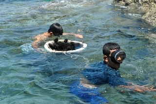 Explore Pirate Island in Kien Giang