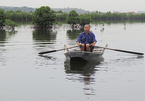 Ha Long mangrove forests disappear as urbanization speeds up