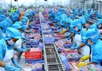 Vietnamese seafood firms’ profits drag on weak exports