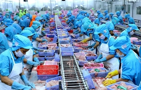 Vietnam's seafood exports beat yearly target, rake in US$8.9 billion
