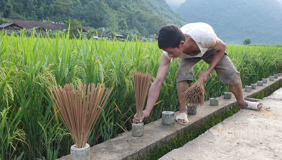 Làng Nùng An, giữ bản sắc làng nghề, hỗ trợ phát triển kinh tế - xã hội địa phương