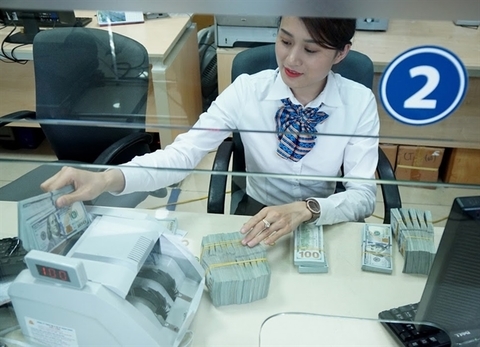 Vietnam's forex rate forecast to remain stable till year-end