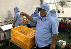 Man enriches Vietnamese meals with Japanese style tofu