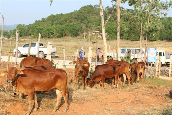 Vai trò của khuyến nông trong an sinh xã hội ở vùng sâu, vùng xa