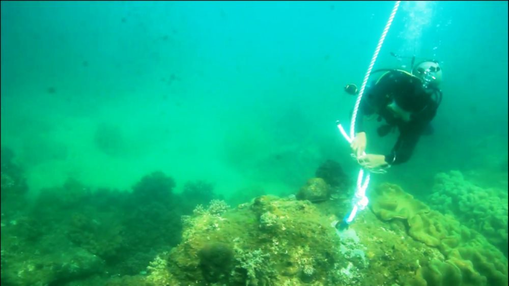 How can the sea be protected amid rapid economic development in Vietnam?