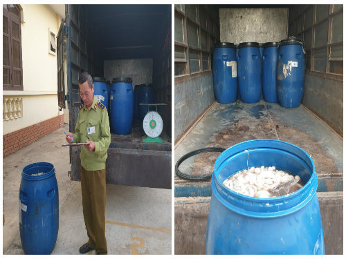 Gom 800 kg lòng lợn tươi ướp lạnh đã chuyển màu đen, hôi để bán kiếm lời