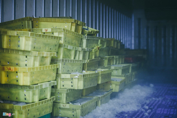 HCM City aims to reduce litter dropping